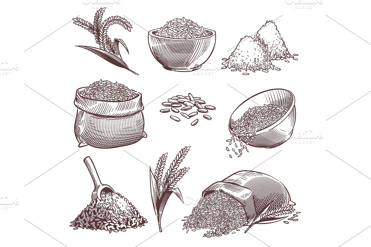 Sketch rice. Vintage hand drawn, a Food Illustration by YummyBuum
