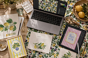 Amalfi Lemon Mediterranean Clipart, a Decorative Illustration by SunnJaneArt (Thumbnail 16 of 17)