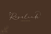 Rainbow Beauty - Chic Calligraphy, a Script Font by Nirmana Visual (Thumbnail 7 of 8)