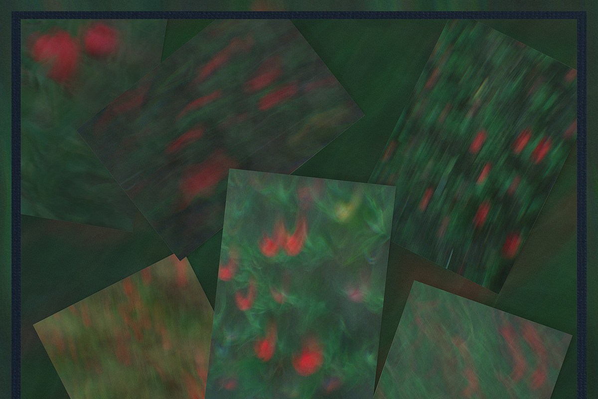 Impressionist Garden Floral Textures, a Background Graphic by lerinartstudio (Photo 4 of 9)