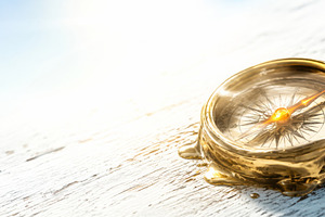 Golden compass melting in summer hea, a Photo by Dvoevnore photos