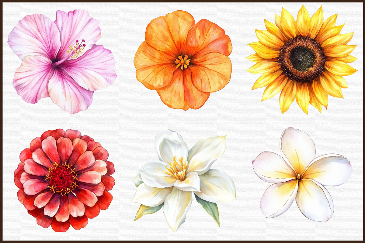 Watercolor Summer Flowers Clipart, an Illustration by Sublimation Artist (Photo 3 of 6)