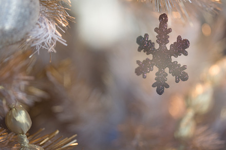 Holidays | Christmas tree ornaments, a Holiday Photo by Pictogram Studio