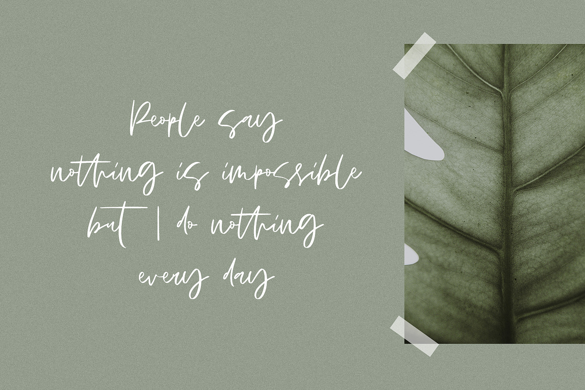 SHALEY SCRIPT, a Handwritten Font by supfonts (Photo 3 of 6)