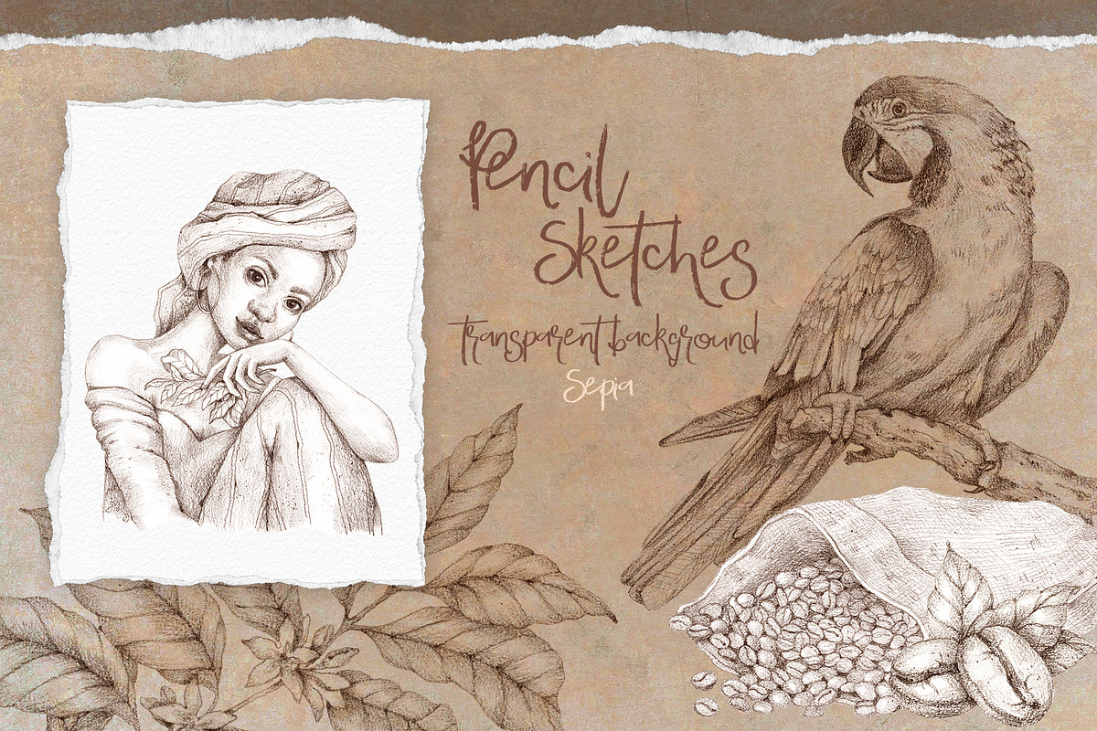 Time for Coffee illustration set, an Illustration by Alamella (Photo 8 of 10)