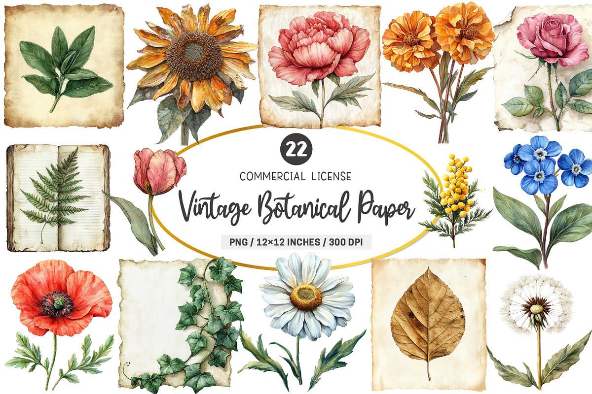 Vintage Botanical Paper Clipart PNG, an Illustration by SinaCreation (Photo 1 of 5)