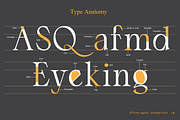 El Fonte Angelia | Ligature Serif, a Serif Font by Gilar Studio (Thumbnail 4 of 11)