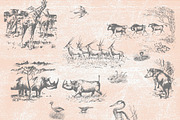 52 Safari Vector Illustrations, an Animal Illustration by TheBlackPixelCo (Thumbnail 5 of 5)