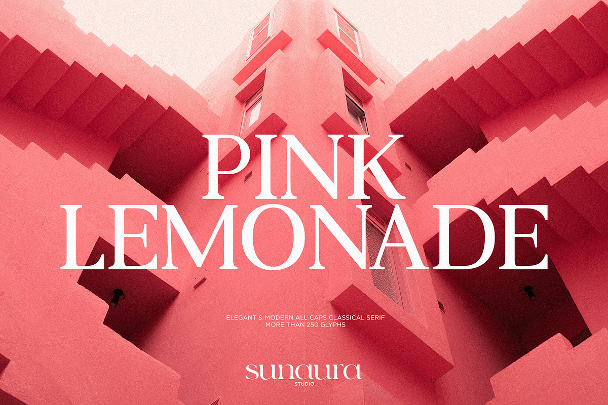 PINK LEMONADE - Elegant Serif, a Serif Font by Schrifted Type (Photo 1 of 8)
