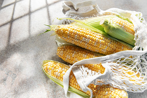 Fresh corn on the cob in eco friendly bag, a Food & Drink Photo by Olena Rudo