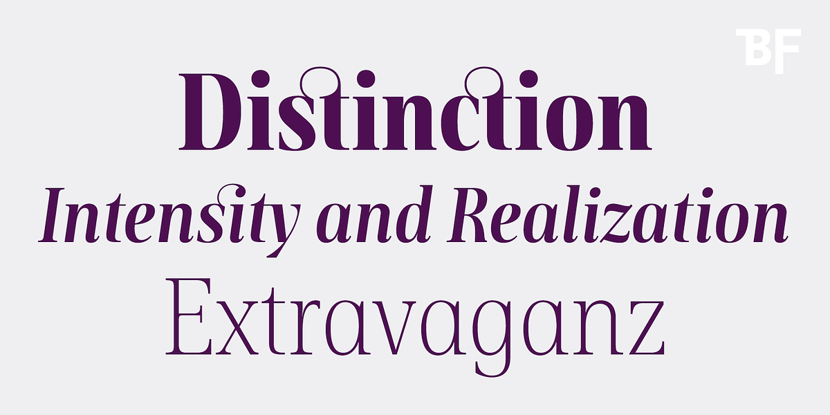 BF Rotwang Pro, a Serif Font by BrassFonts (Photo 10 of 15)