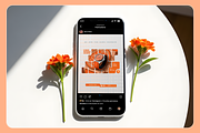 Vexa Black Friday Social Media, a Social Media Template by Sooni Gaad (Thumbnail 4 of 10)