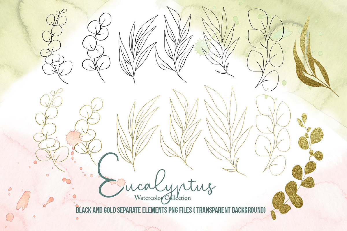 Watercolor Eucalyptus SET, a Decorative Illustration by TanataDesign (Photo 12 of 16)