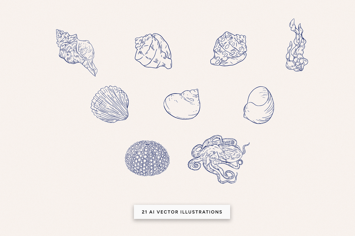 Seashells and seafood Illustrations, a Food Illustration by MargauxQuercy (Photo 3 of 5)
