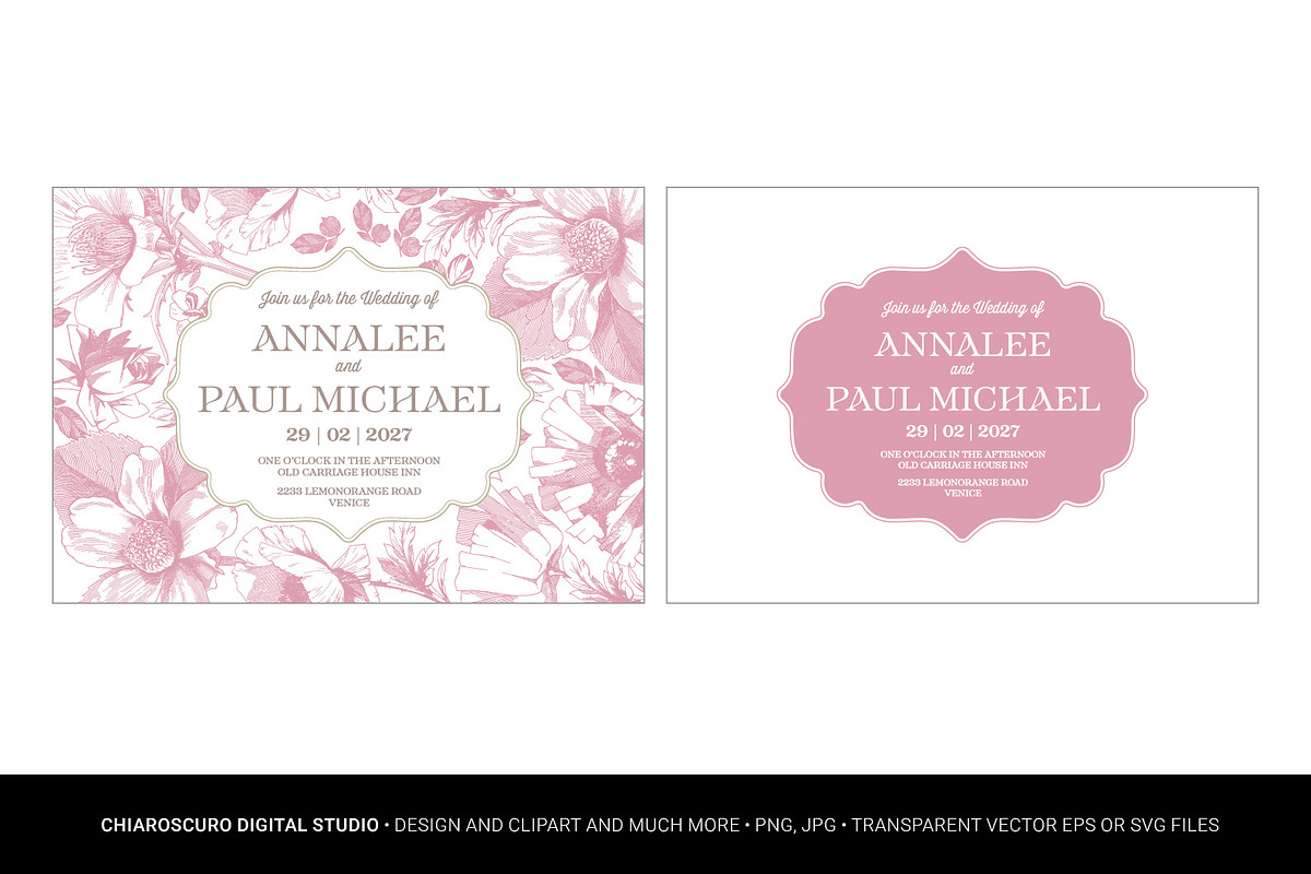 Vintage Botanical Vector Set, a Decorative Illustration by Pingebat (Photo 14 of 18)