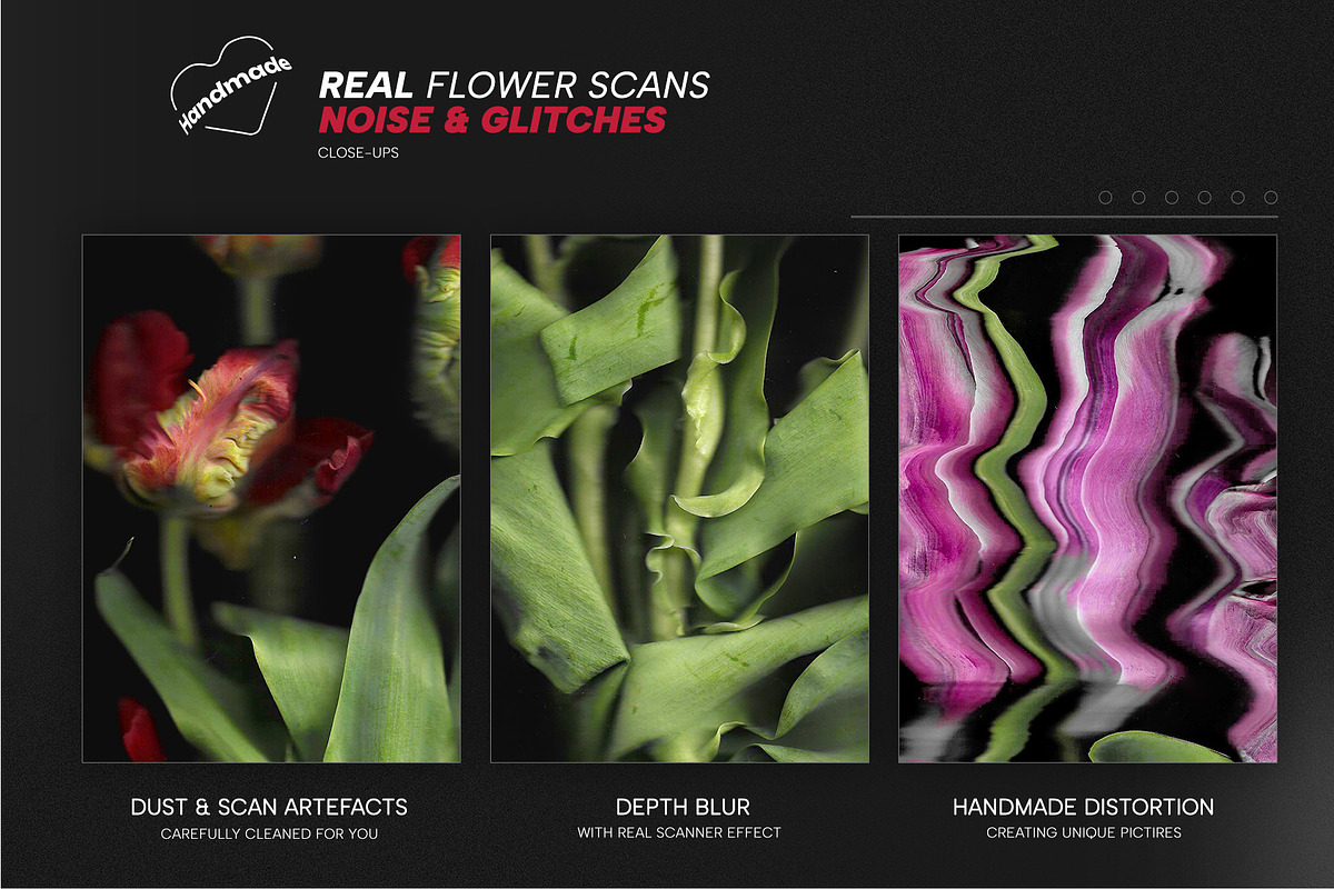 Scanned Tulip Photocopies, a Graphic by Pásha (Photo 2 of 5)