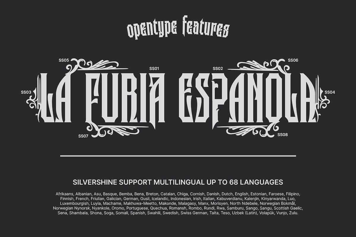 Silvershine, a Symbol Font by Nathatype (Photo 10 of 11)