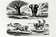 Savannah Scene Wildlife Graphics, an Animal Illustration by DENIDigitalArtSudio (Thumbnail 3 of 8)