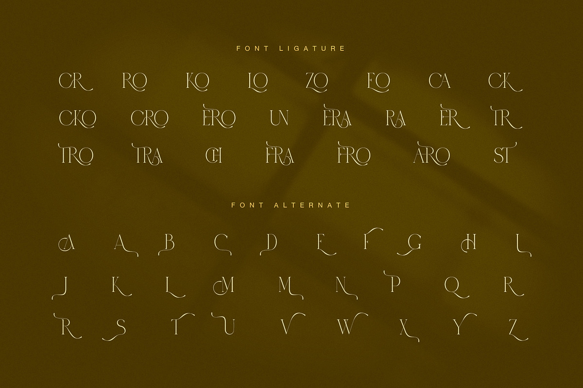 Mitra Macro Luxury Ligature Serif, a Serif Font by Graphicxell (Photo 8 of 8)
