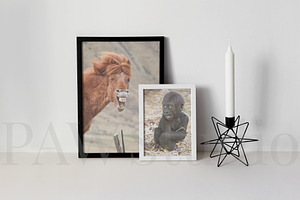 Two Photo Frames Mockup 2x3