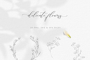 Line Drawing Botanical Wreaths, an Illustration by Olya Creative (Thumbnail 2 of 4)