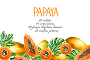 Papaya clipart in botanical style, a Food Illustration by Navenzeles (Thumbnail 1 of 12)