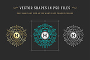 500 ornaments logos & monograms, a Branding & Logo Template by Vasya Kobelev (Thumbnail 25 of 31)