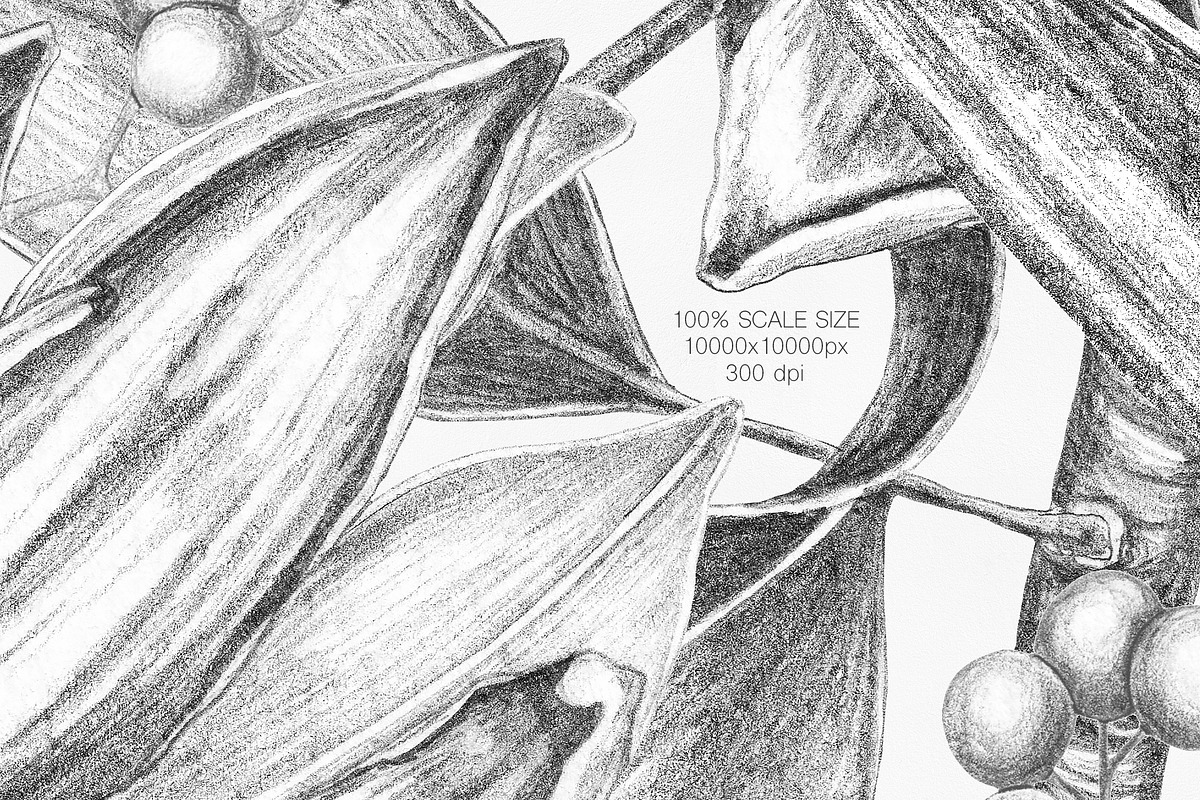 Luxury Vintage Exotic Collection, a Pattern Graphic by Alisa Fimen Design (Photo 11 of 12)
