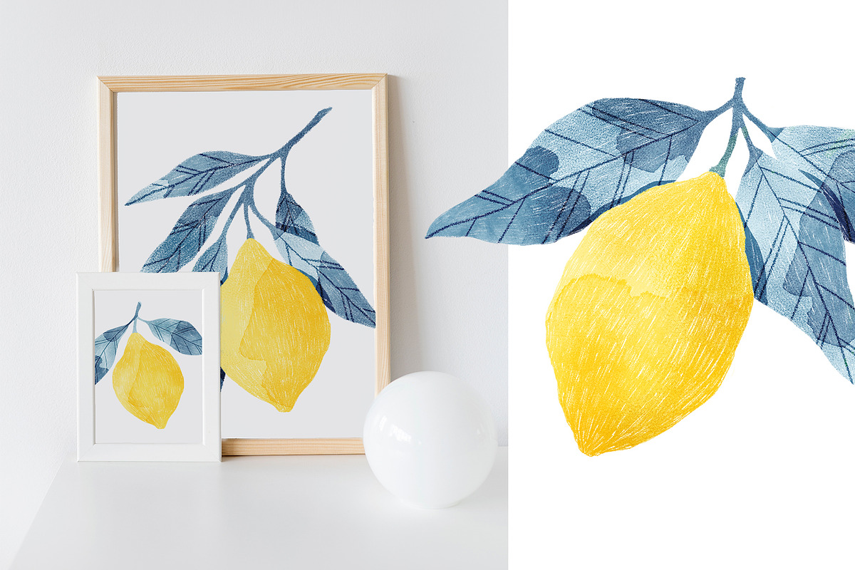 Lemons Blue Leaves, a Food Illustration by Helga Wigandt (Photo 4 of 8)