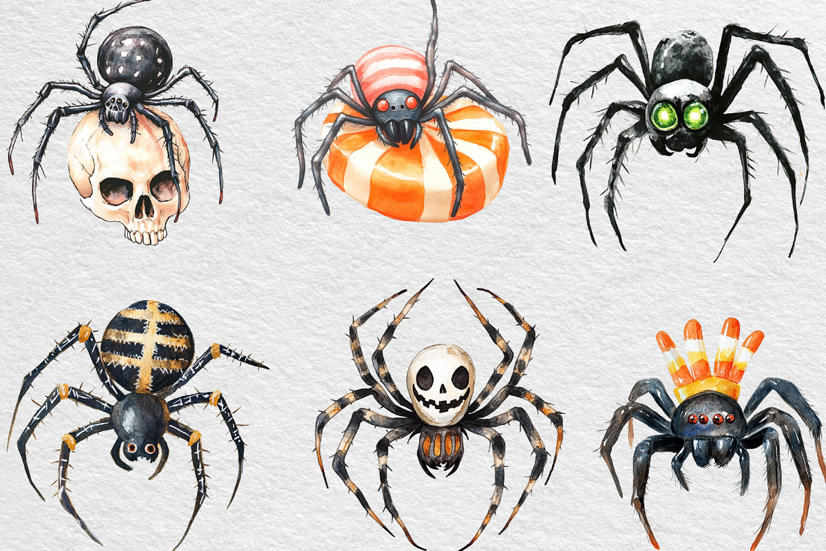 Halloween Clipart Spider Clipart PNG, an Illustration by Black Bird Studio (Photo 5 of 6)