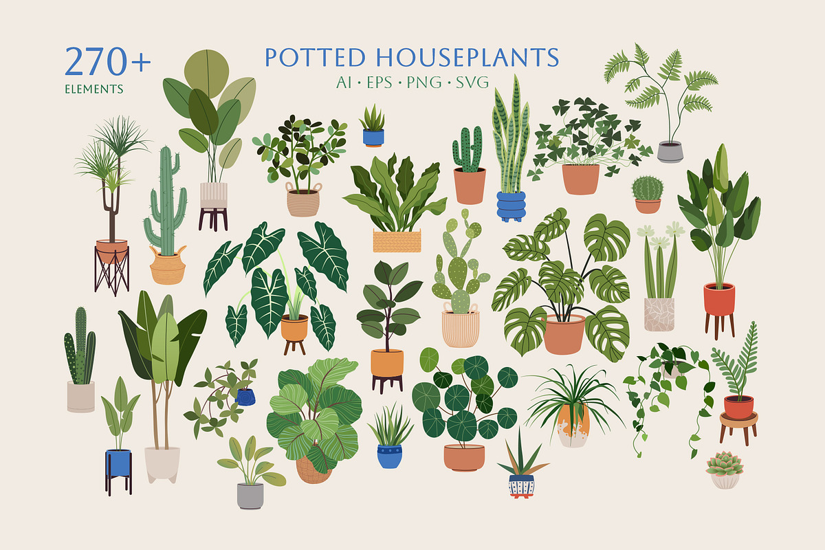 Home Plants | House Plants in Pots, a Decorative Illustration by Berentine.art (Photo 1 of 16)