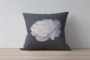 White Realistic Peonies Set, a Decorative Illustration by MarynaPetrovska (Thumbnail 13 of 16)