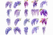 Watercolor Wisteria Garden Clipart, an Illustration by Libby Wishes (Thumbnail 6 of 7)