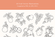 Fruit Garden Vector Illustrations, a Decorative Illustration by Emma Webb Studio (Thumbnail 3 of 7)