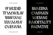 AO Tenko - Display Typeface, a Serif Font by OwunStudio (Thumbnail 8 of 15)