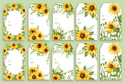 Sunflowers Watercolor Collection, an Illustration by Anna Druzhkova (Thumbnail 8 of 17)