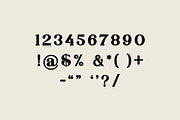 Danilo Catalina Classic Serif Font, a Serif Font by UICreative (Thumbnail 11 of 11)