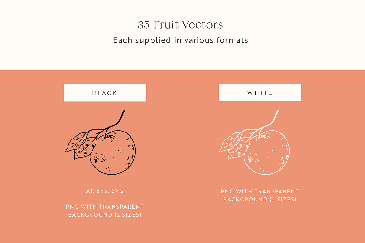 Fruit Garden Vector Illustrations, a Decorative Illustration by Emma Webb Studio (Photo 2 of 7)