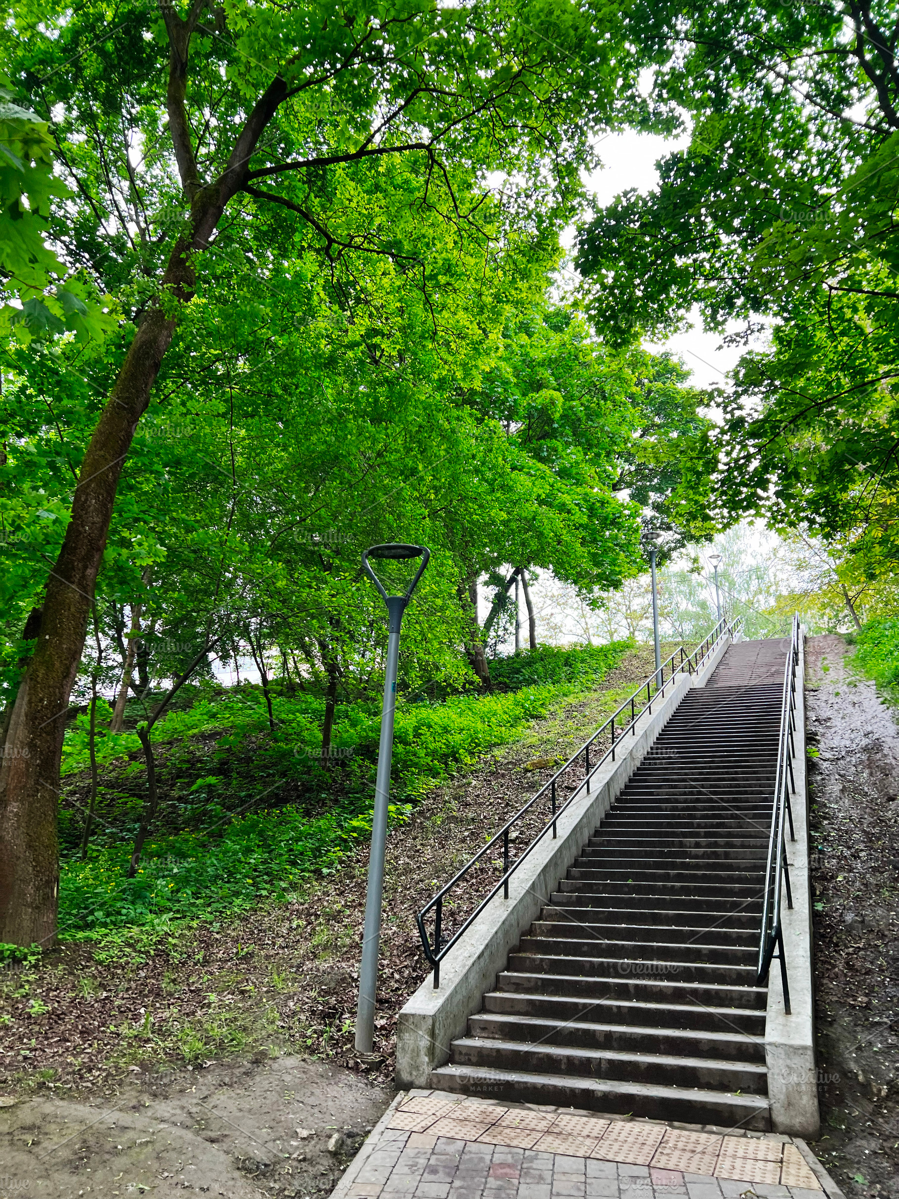 Concrete staircase surrounded by lush green trees on a bright day, a Photo by AS photostudio