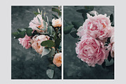 Pink Peonies Collection, an Arts & Entertainment Photo by Anntuan (Thumbnail 6 of 10)