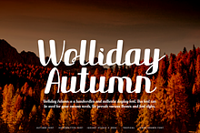Wolliday Autumn - Handwritten Font