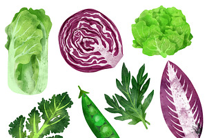 Vegetables, Herbs Watercolor Clipart