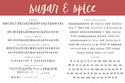 Sugar & Spice Font Duo, a Script Font by Brittney Murphy Design (Thumbnail 2 of 8)