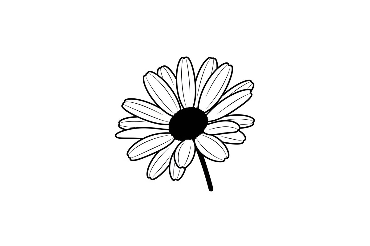 Daisy Flower Line Art Vector Bundle0, an Illustration by jahid234 (Photo 32 of 51)