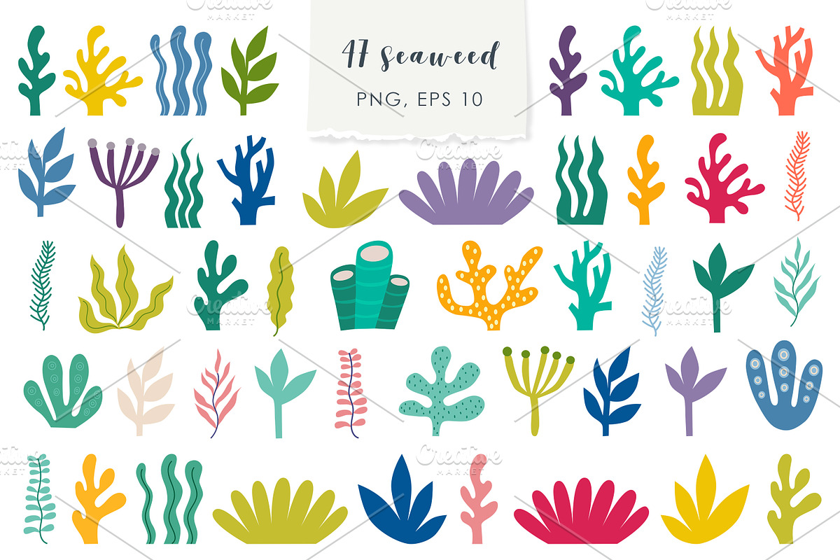Sea Life Collection, a Seasonal Illustration by Kira Konoshenko (Photo 10 of 13)
