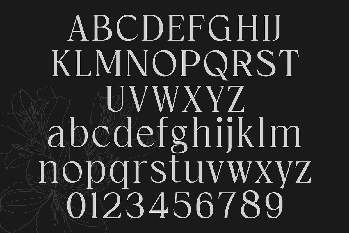 Cardival – Modern Luxury Bold Serif, a Serif Font by Lettertype Studio (Photo 9 of 11)