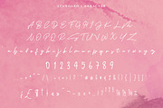 Sefiola - Mono Script, a Script Font by Lemon Studio Type (Thumbnail 9 of 11)