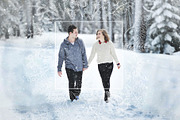 Winter birds. Christmas Story., a Seasonal Illustration by Designwork (Thumbnail 20 of 22)