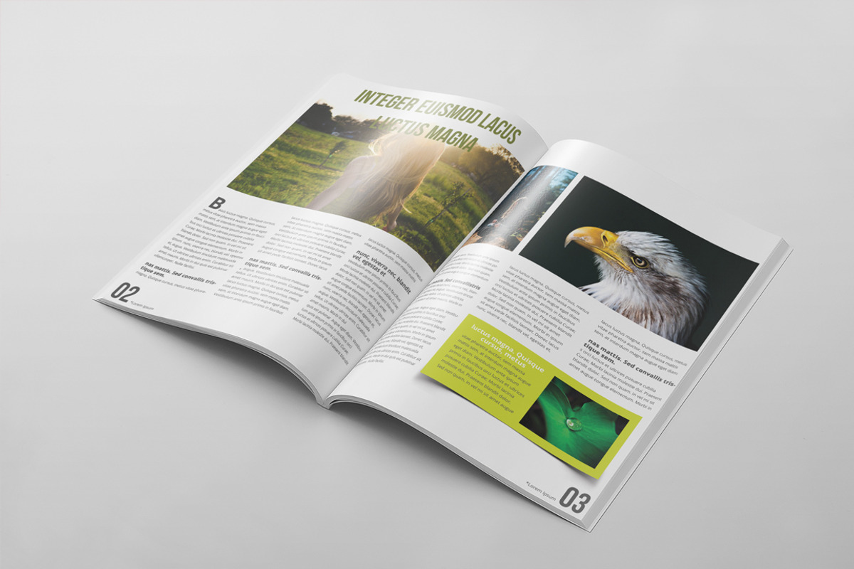 Magazine Template 48, a Magazine Template by pmvch (Photo 8 of 10)