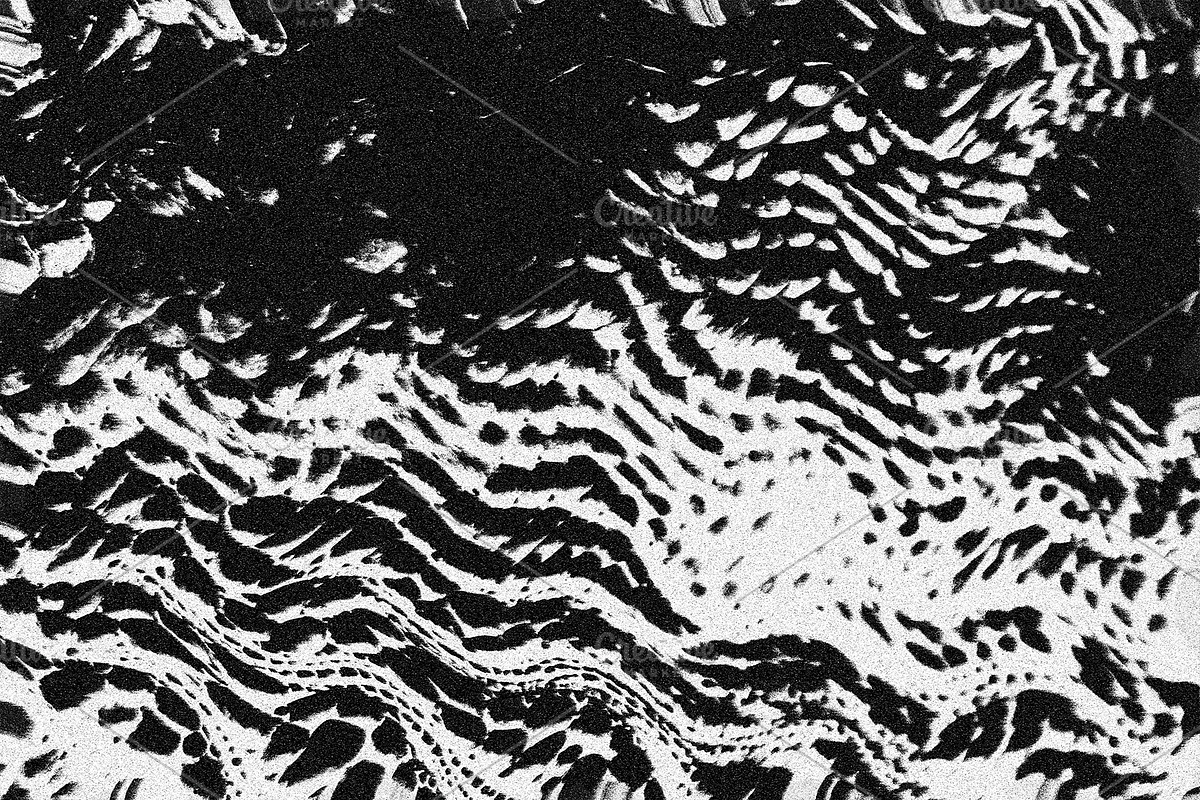 Scales and Fur, a Texture Graphic by Jennifer Lauren Creative (Photo 11 of 26)